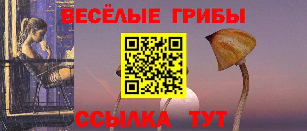 Галлюциногенные грибы GOLDEN TEACHER  купить закладку  Электросталь  Псилоцибиновые грибы мухоморы  Вход с VPN 